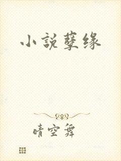 小说孽缘