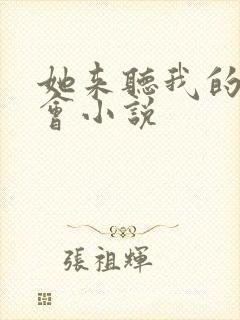 她来听我的演唱会小说封面