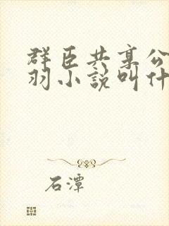 群臣共享公主银羽小说叫什么封面