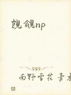 觊觎np