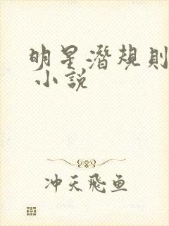 明星潜规则之皇 小说