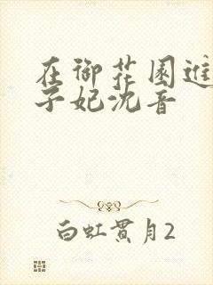 在御花园进入太子妃沈音