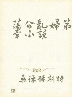 荡公乱妇第51章小说