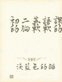 初二英语课代表的胸软软的封面