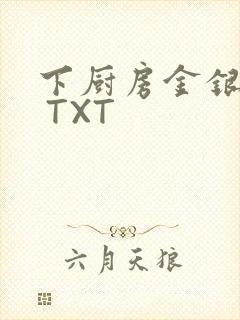 下厨房金银花露 TXT封面