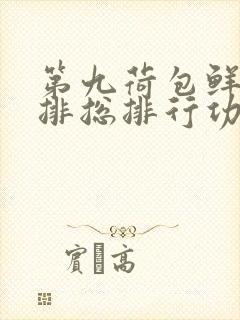 第九荷包鲜辣肉排总排行功能介绍