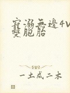 宠溺无边4V2双胞胎封面