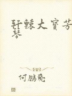 轩辕大宝芳菲雅琴