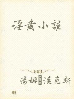 淫黄小说