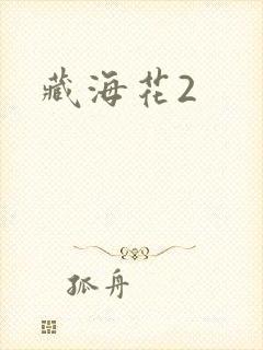 藏海花2封面