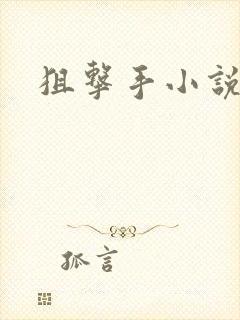 狙击手小说封面