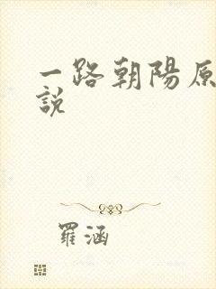一路朝阳原著小说封面