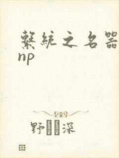 系统之名器攻略np