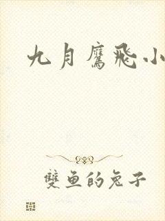 九月鹰飞小说