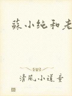 苏小纯和老苏