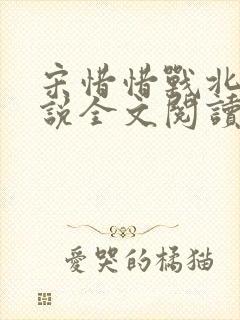 宋惜惜战北望小说全文阅读