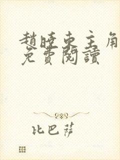 赵晓东主角小说免费阅读