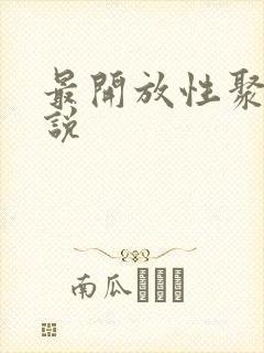 最开放性聚会小说