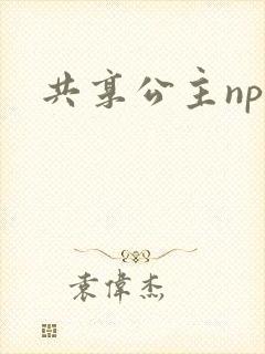 共享公主npc封面