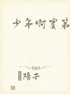 少年啊宾第二部封面