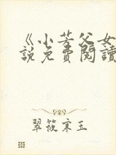 《小芳父女》小说免费阅读