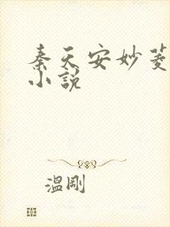 秦天安妙菱修仙小说