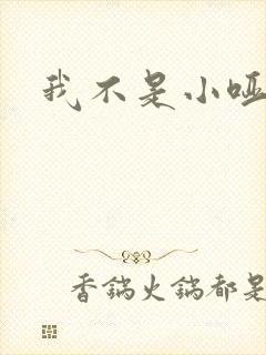 我不是小哑巴封面