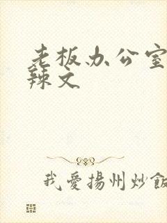 老板办公室系列辣文封面