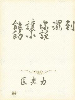 能让你湿到不行的小说