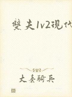 双夫1v2现代