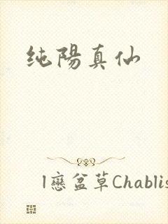 纯阳真仙
