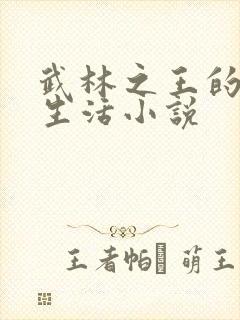 武林之王的退隐生活小说