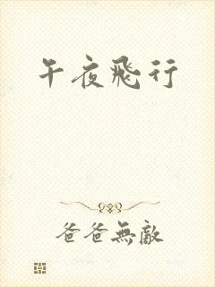 午夜飞行封面