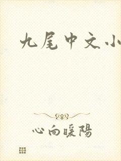 九尾中文小说网