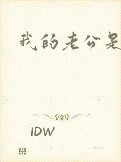 我的老公是军阀