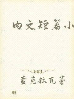 肉文短篇小说