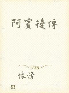 阿宾后传封面