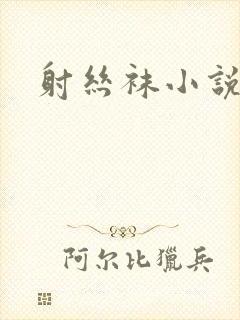 射丝袜小说封面