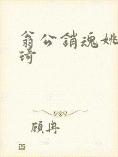 翁公销魂姚瑶琦琦封面