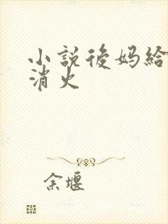 小说后妈给我消消火封面