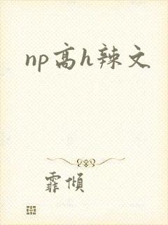 np高h辣文封面