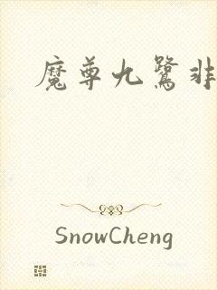 魔尊九鹭非香封面