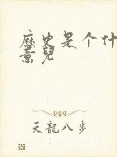 历史是个什么玩意儿封面