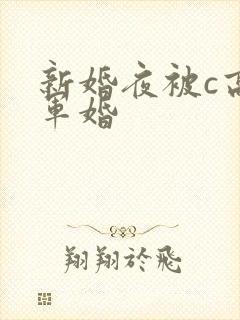 新婚夜被c高h军婚