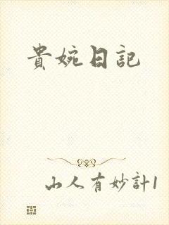 贵婉日记