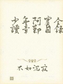 少年阿宾全文阅读章节目录封面