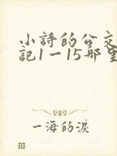 小诗的公交车日记1一15哪里能看