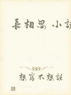 长相思 小说
