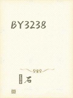 BY3238