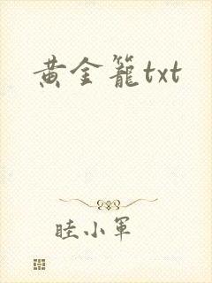 黄金笼txt
